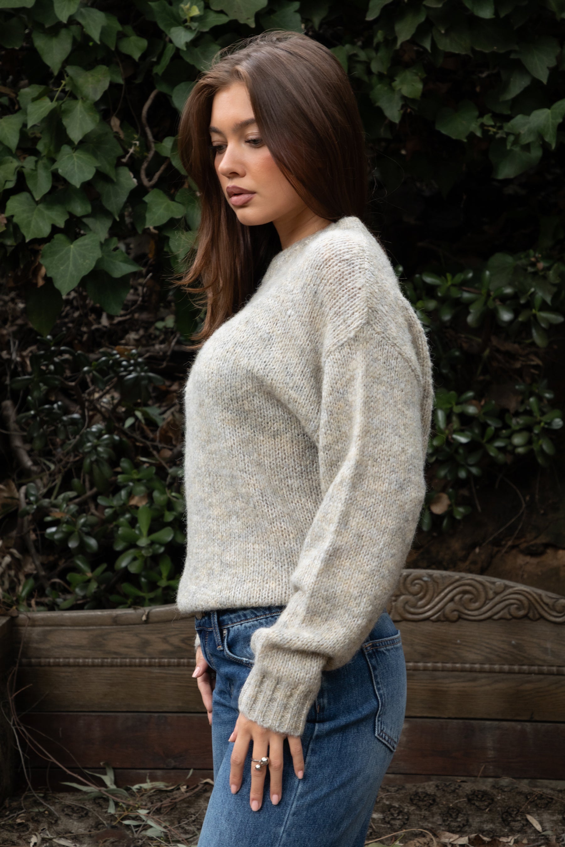 TF31840-SELYNA Sweater (image 4 of 5)